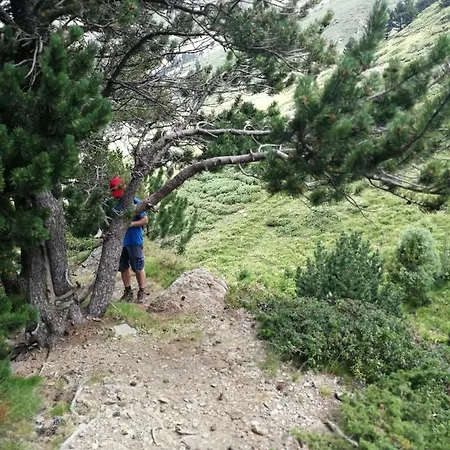 Pyrenees Catalanes Tres Joli Appartement 300M Telecabines Font-Romeu-Odeillo-Via Exterior photo