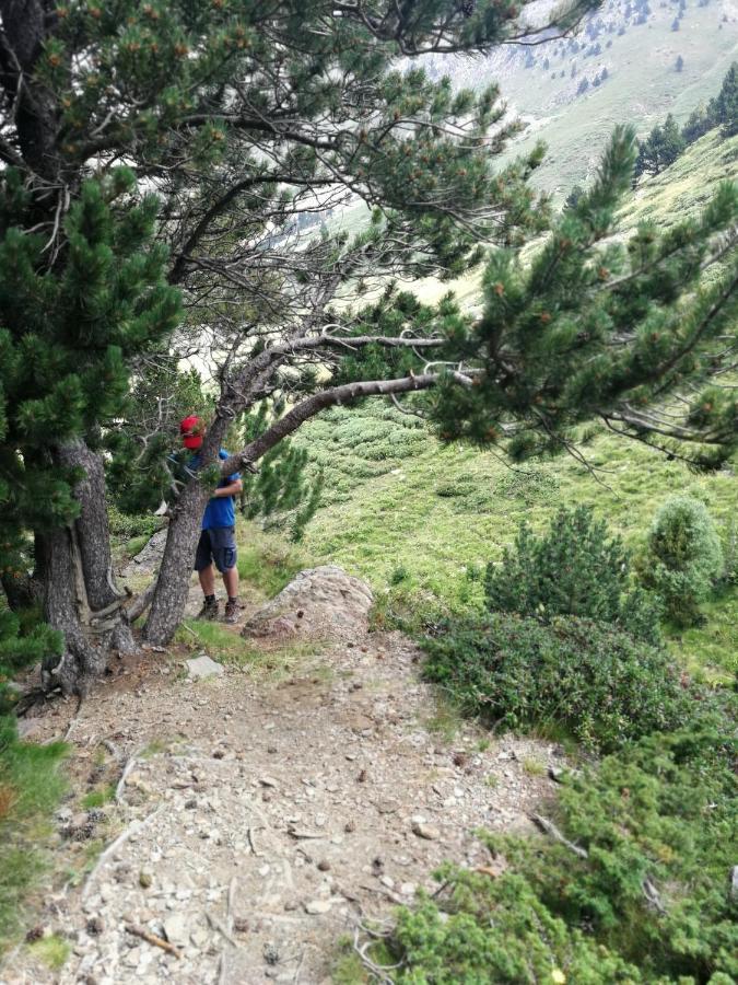 Apartment Pyrenees Catalanes Tres Joli 300m Telecabines Font-Romeu-Odeillo-Via