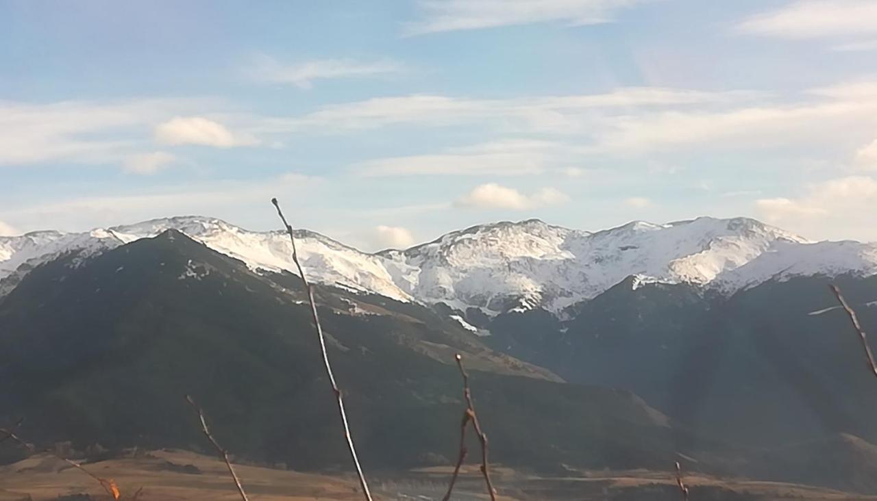 Pyrenees Catalanes Tres Joli 300m Telecabines Apartment