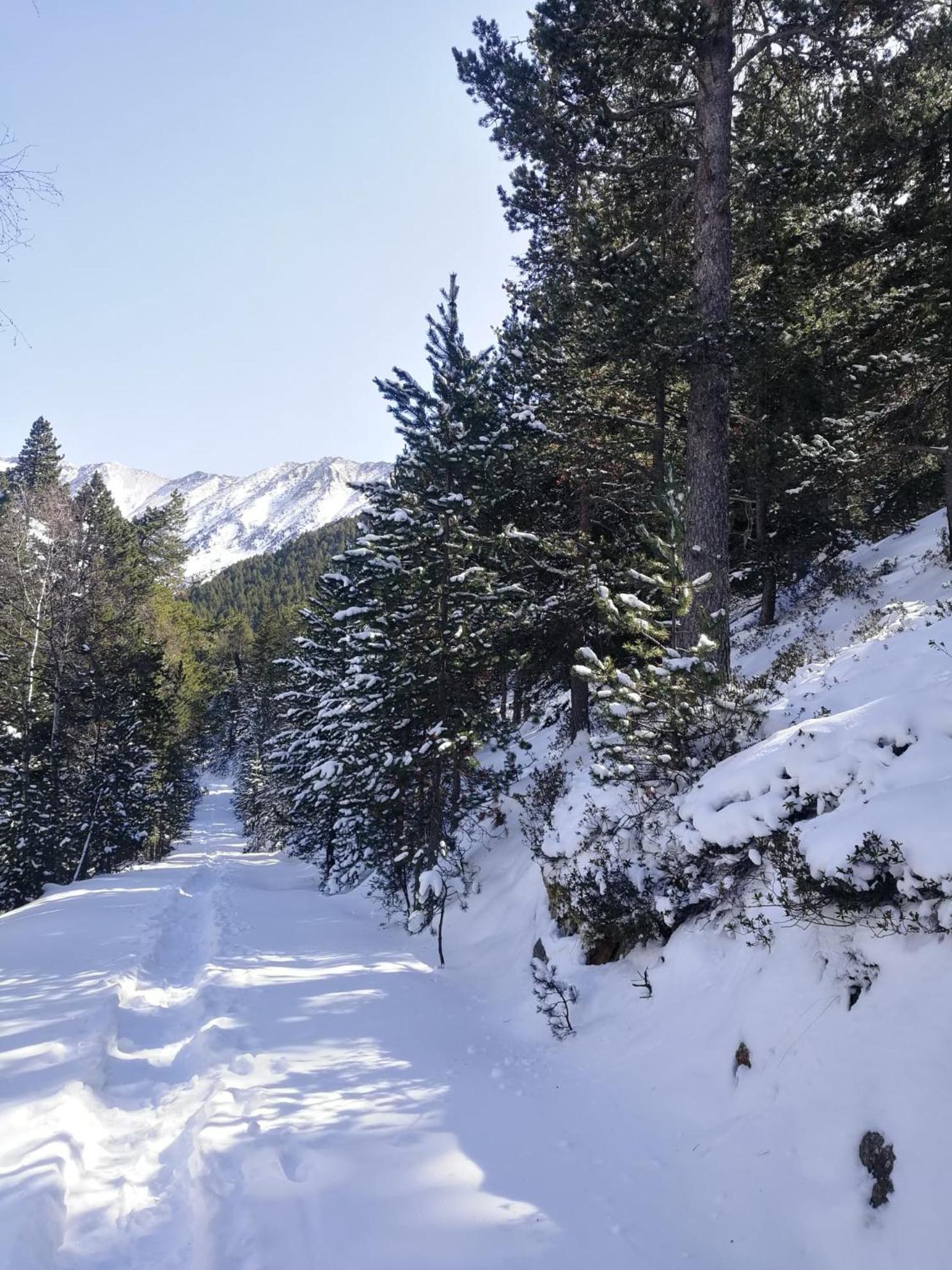 Apartment Pyrenees Catalanes Tres Joli 300m Telecabines