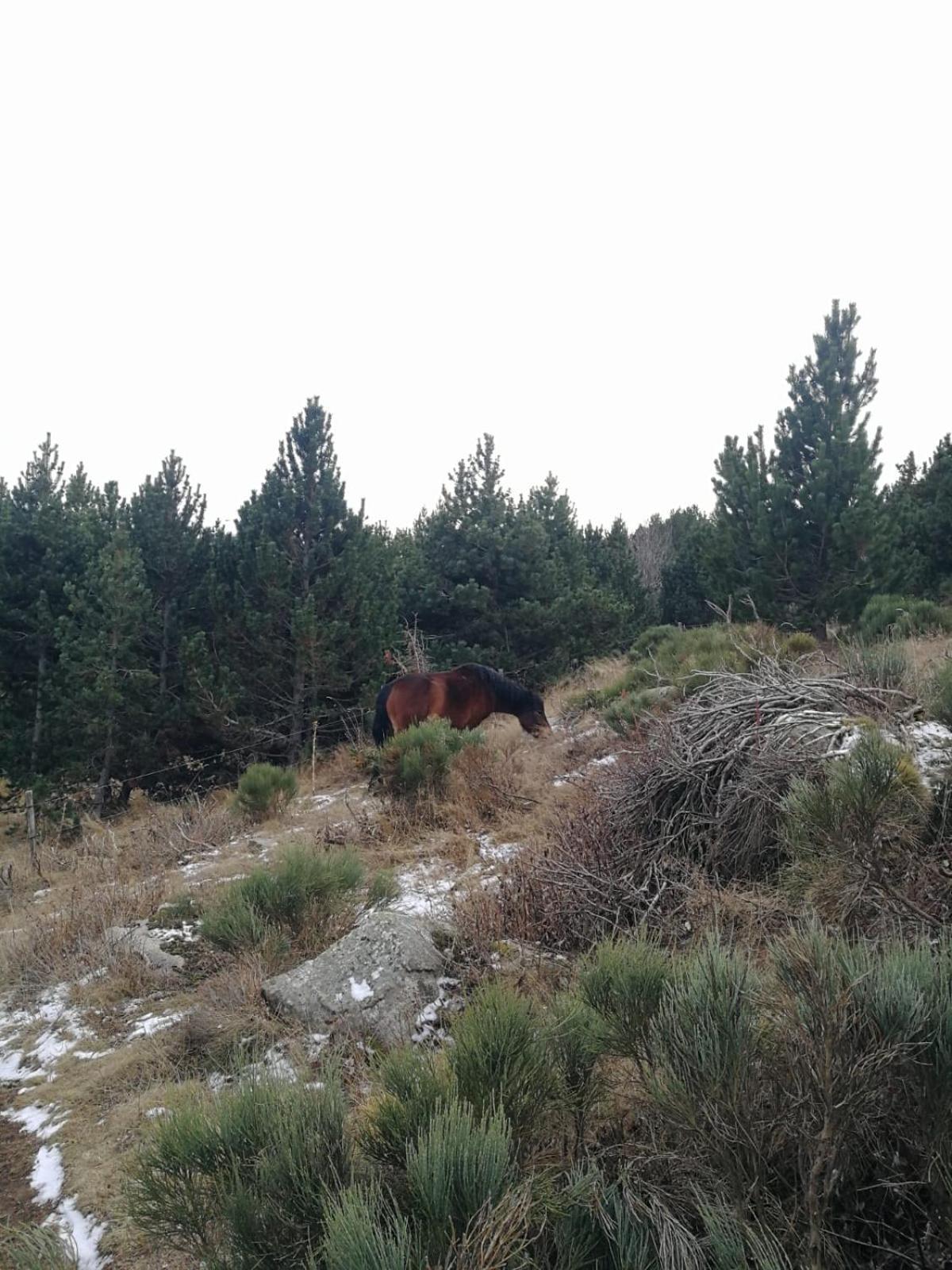 Pyrenees Catalanes Tres Joli 300m Telecabines *