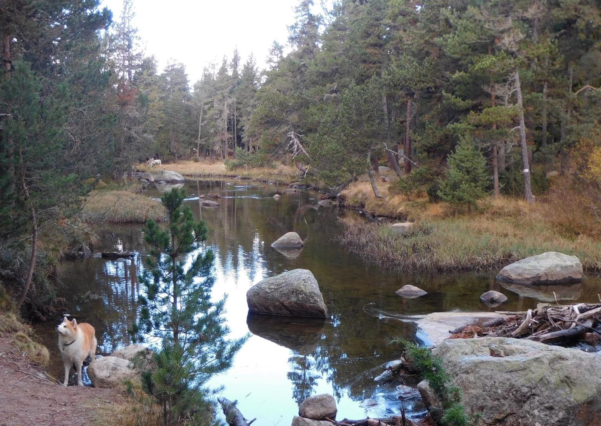 Pyrenees Catalanes Tres Joli 300m Telecabines *