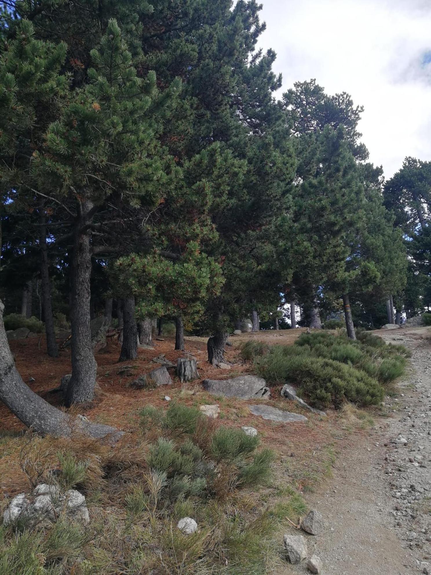 Pyrenees Catalanes Tres Joli 300m Telecabines *